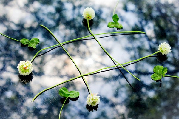 Quels sont les outils les plus efficaces pour le suivi et l'analyse des hashtags sur différentes plateformes ?