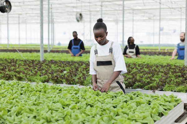 Quelle est la meilleure méthode de sauvegarde de données pour les photographes professionnels ?